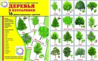 Демонстрационные карточки "Деревья и кустарники" - «globural.ru» - Кострома