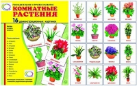 Демонстрационные карточки "Комнатные растения" - «globural.ru» - Кострома