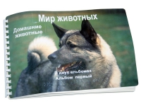 Пособие для слабовидящих "Домашние животные" - «globural.ru» - Кострома