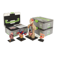 Учебный набор "Анатомия в деталях" - «globural.ru» - Кострома