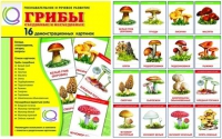 Демонстрационные карточки  "Грибы съедобные и не съедобные" - «globural.ru» - Кострома