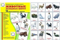 Демонстрационные карточки "Животные холодных широт" - «globural.ru» - Кострома