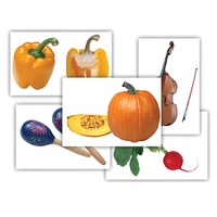 Набор предметных картинок "Овощи. Музыкальные инструменты" - «globural.ru» - Кострома