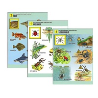 Комплект таблиц для начальной школы "Окружающий мир. Животный мир" - «globural.ru» - Кострома