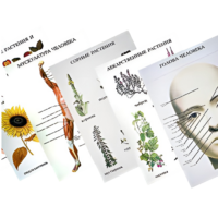 Таблицы по природоведению 1-3 класс - «globural.ru» - Кострома