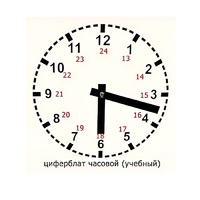 Часовой циферблат раздаточный - «globural.ru» - Кострома