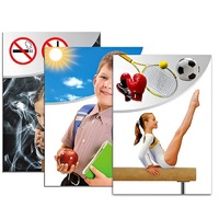 Модель-аппликация "Здоровье человека" - «globural.ru» - Кострома