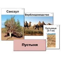 Модель-аппликация "Природные зоны России" - «globural.ru» - Кострома