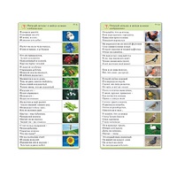 Комплект карточек (10) "Обучающий калейдоскоп. Природа" - «globural.ru» - Кострома