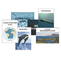 Модель-аппликация "Океаны. Знакомство" (ламинированная) - «globural.ru» - Кострома