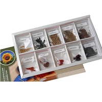 Коллекция "Плоды сельскохозяйственных растений" (вариант 2) - «globural.ru» - Кострома