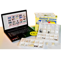 Коллекция натурально-интерактивная "Пластмассы" - «globural.ru» - Кострома