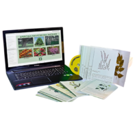 Гербарий натурально-интерактивный "Лекарственные растения" - «globural.ru» - Кострома