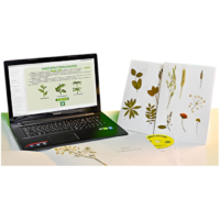 Гербарий натурально-интерактивный "Морфология растений" - «globural.ru» - Кострома