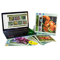 Гербарий натурально-интерактивный "Основные группы растений. Грибы. Лишайники" - «globural.ru» - Кострома