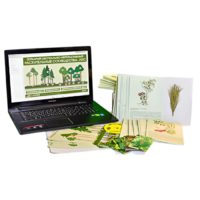 Гербарий натурально-интерактивный "Растительные сообщества. Лес" - «globural.ru» - Кострома