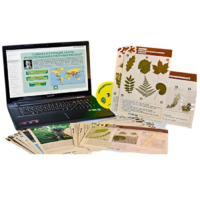 Гербарий натурально-интерактивный к курсу основ общей биологии - «globural.ru» - Кострома