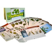 Гербарий к курсу основ общей биологии - «globural.ru» - Кострома