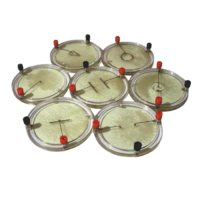 Демонстрационный комплект «Силовые линии электрического поля разных систем зарядов» - «globural.ru» - Кострома