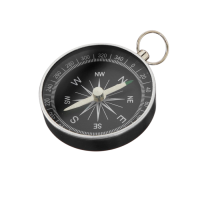 Компас (вариант 1) - «globural.ru» - Кострома