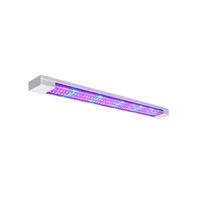 Фитолампа - «globural.ru» - Кострома