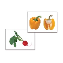 Дидактическое пособие "Овощи" (24 карточки, А4, ламинированное) - «globural.ru» - Кострома