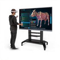 Виртуальный учебный комплекс «Интерактивный трехмерный атлас анатомии КРС». Комплектация Интерактивная 65 - «globural.ru» - Кострома