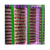 Вертикальная ферма "Моя Микрозелень" комплектация Школьная - «globural.ru» - Кострома