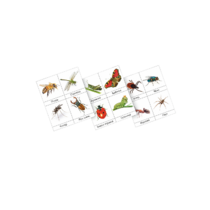 Фланелеграф "Насекомые" - «globural.ru» - Кострома