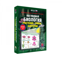 Наглядная биология. Растения. Грибы. Бактерии - «globural.ru» - Кострома