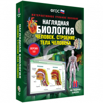 Наглядная биология. Человек. Строение тела человека - «globural.ru» - Кострома