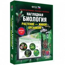 Наглядная биология. Растение - живой организм - «globural.ru» - Кострома