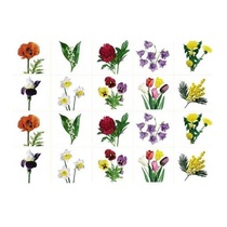 Комплект карточек. Серия наглядных пособий "Запоминай, играй, считай". Цветы. - «globural.ru» - Кострома