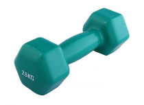 Гантель виниловая 2,5 кг - «globural.ru» - Кострома