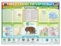 Стенд-уголок "Вестник природы" (вариант 1) - «globural.ru» - Кострома