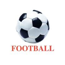 Карточки Домана "Sports equipment-1" ("Спортинвентарь-1") на английском языке - «globural.ru» - Кострома