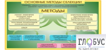 Стенд "Методы селекции и биотехнологии" - «globural.ru» - Кострома