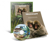 Электронное наглядное пособие «Эволюция» - «globural.ru» - Кострома