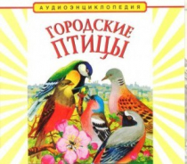 CD "Аудиоэнциклопедия. Городские птицы" - «globural.ru» - Кострома