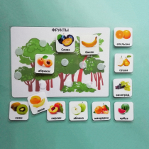 Пособие "Овощи и фрукты" - «globural.ru» - Кострома