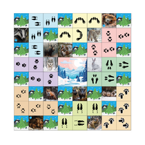 Коврик для логобота Пчелка "Следы животных" - «globural.ru» - Кострома