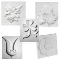 Комплект гипсовых моделей растений  - «globural.ru» - Кострома