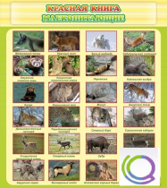 Стенд "Красная книга - млекопитающие" - «globural.ru» - Кострома
