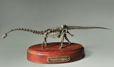 Модель скелета динозавра Diplodocus  (вариант 2) - «globural.ru» - Кострома