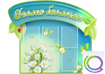 Стенд "Уголок биологии" - «globural.ru» - Кострома