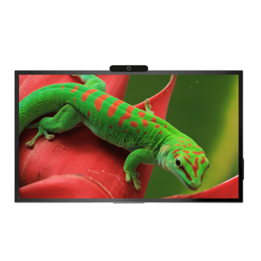 Интерактивная панель Geckotouch Interactive 65R - «globural.ru» - Кострома