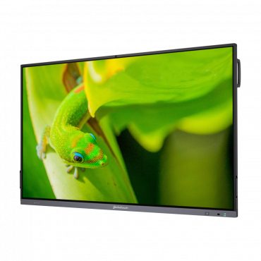Интерактивный программно-аппаратный комплекс Geckotouch Interactive IP86GT-С  в комплекте с настенным креплением - «globural.ru» - Кострома