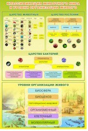 Стенд "Классификация животного мира" - «globural.ru» - Кострома