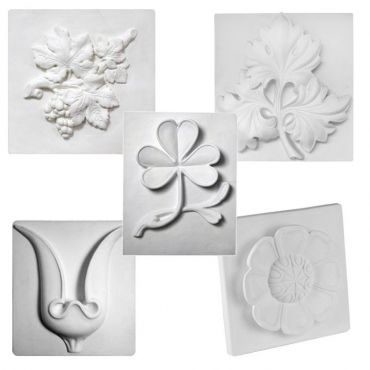 Комплект гипсовых моделей растений  - «globural.ru» - Кострома